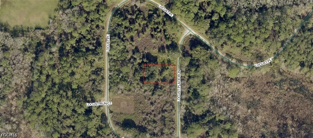 Locust Place Run ocala, FL 34472