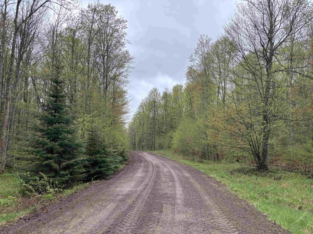 Elizabeth Lane Unknown, MI 49935