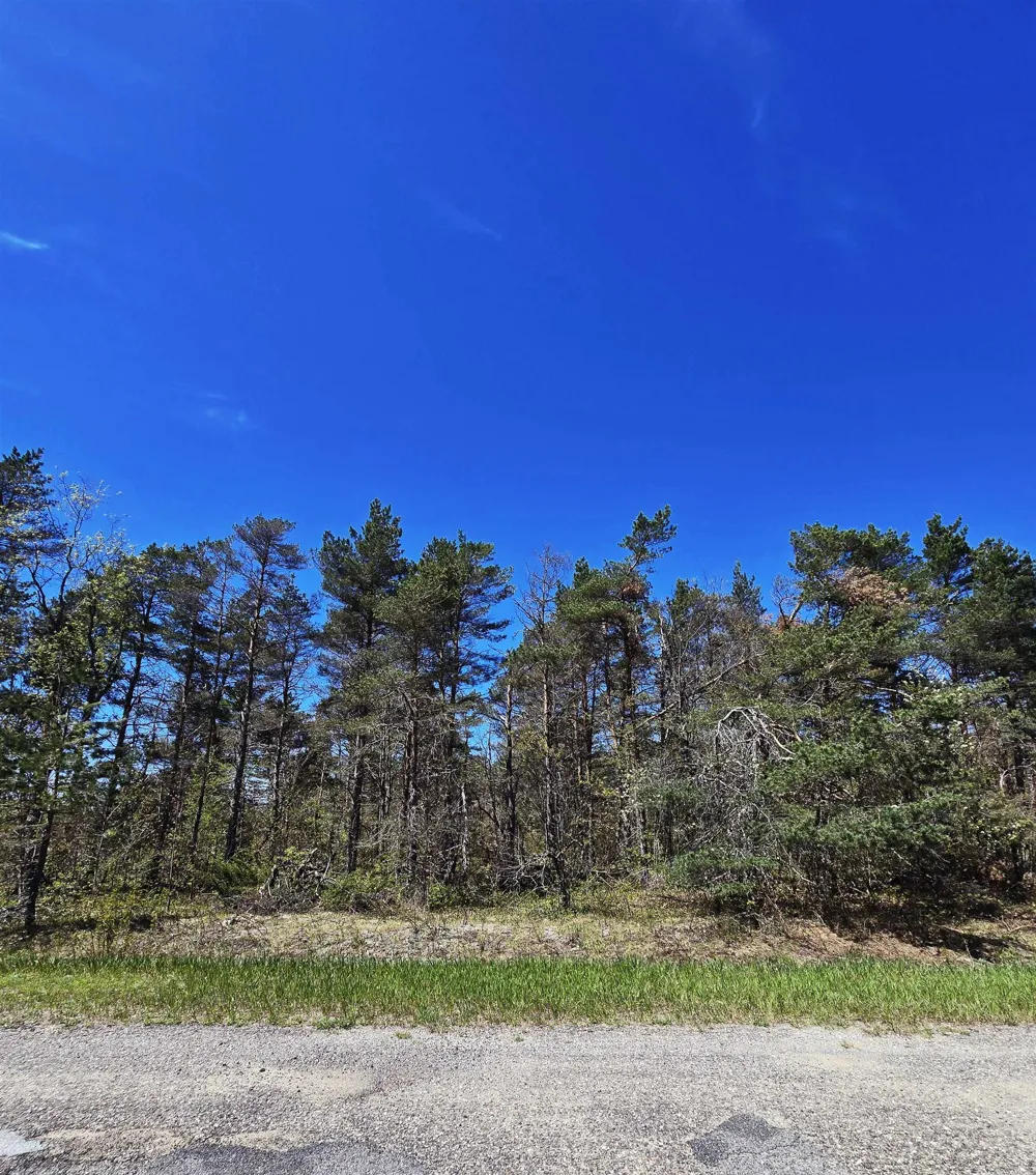 253 Country Club Drive Mancelona Township, MI 49659