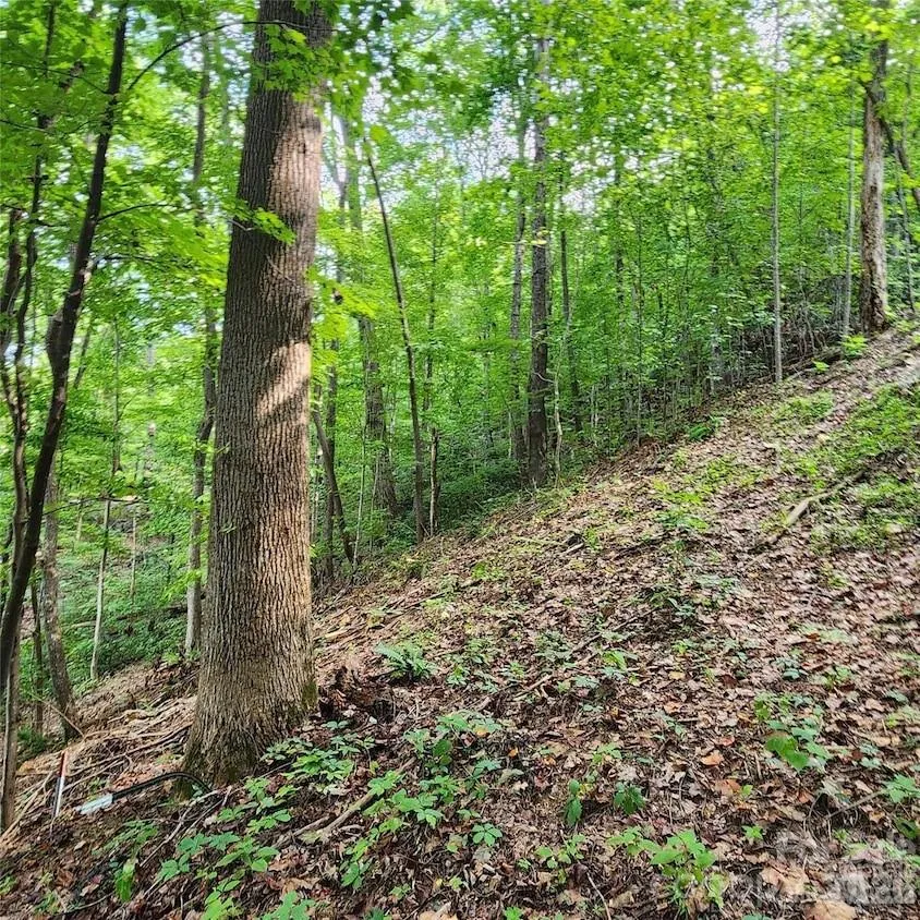 0 Switchback Road Lake Lure, NC 28746