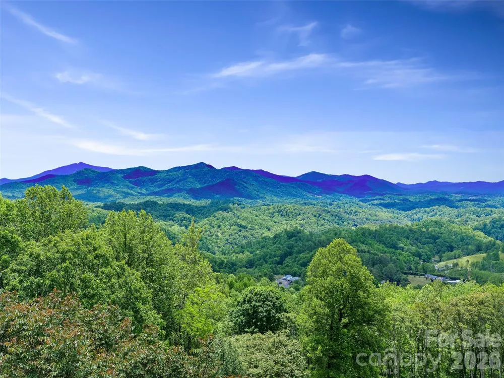 483 Birdie Lane Bakersville, NC 28705