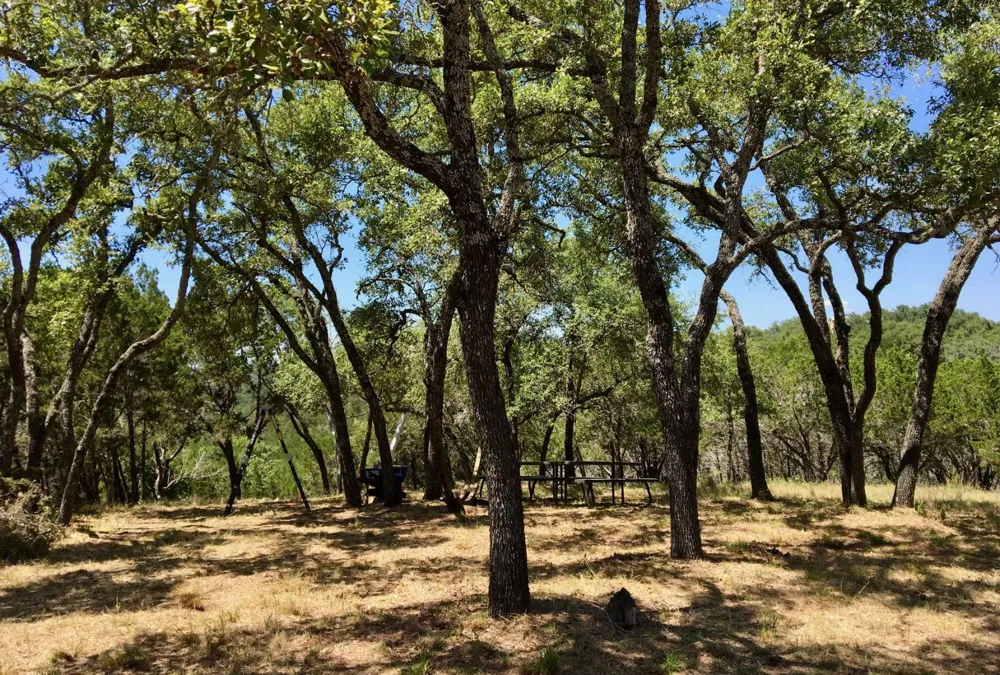 525 Soda Creek Road Spicewood, TX 78669