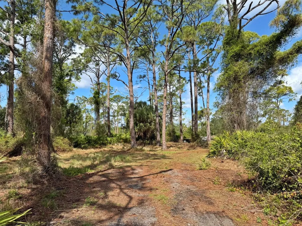 1213 CASPER STREET Port Charlotte, FL 33953