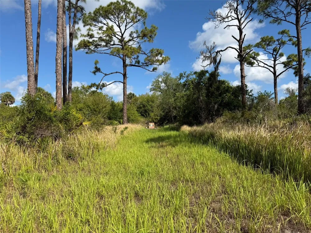 1213 CASPER STREET Port Charlotte, FL 33953