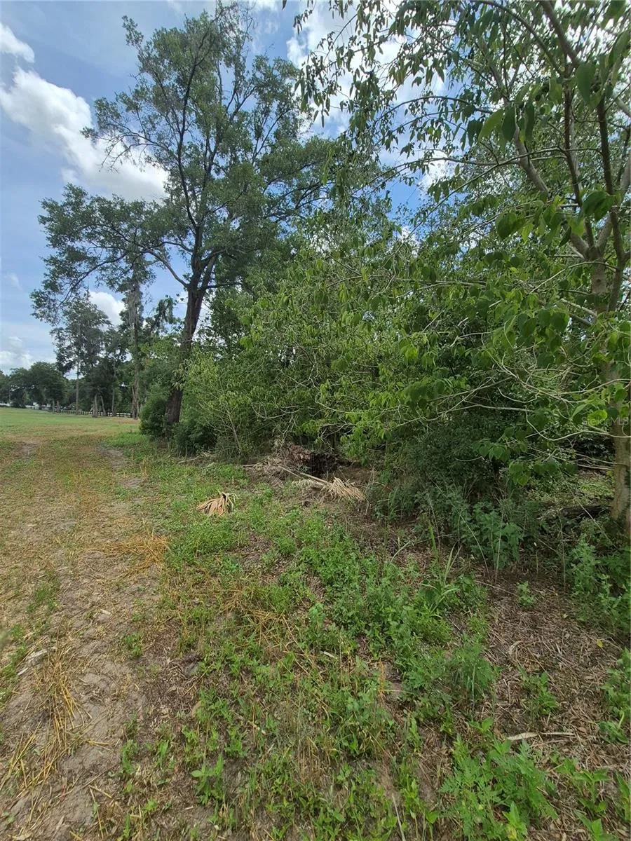 8748 NE JACKSONVILLE ROAD Anthony, FL 32617