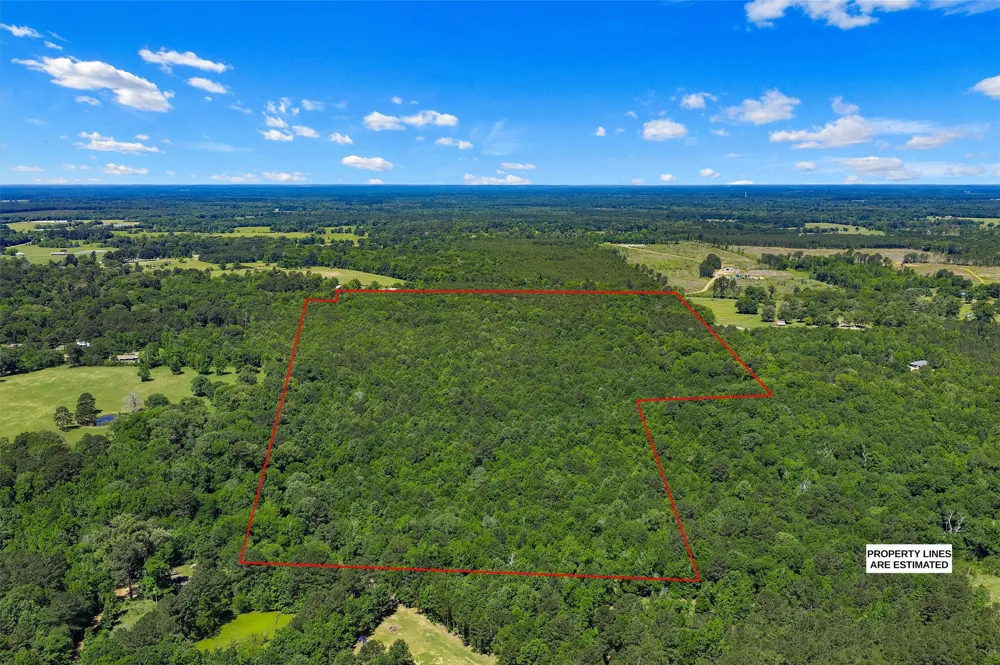 County Road 3361 De Berry, TX 75639