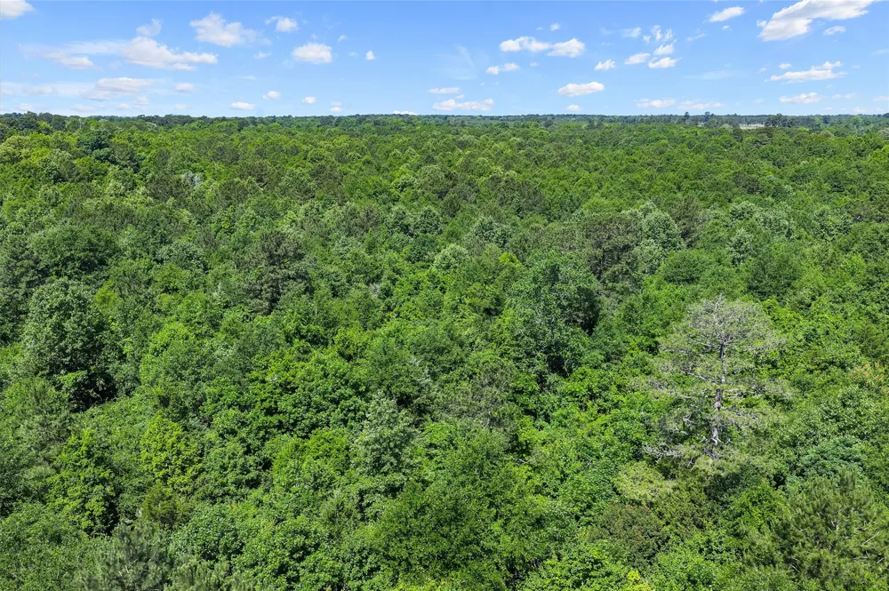 County Road 3361 De Berry, TX 75639