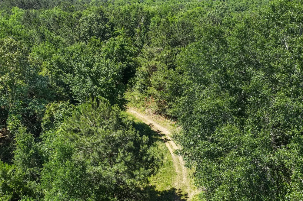 County Road 3361 De Berry, TX 75639