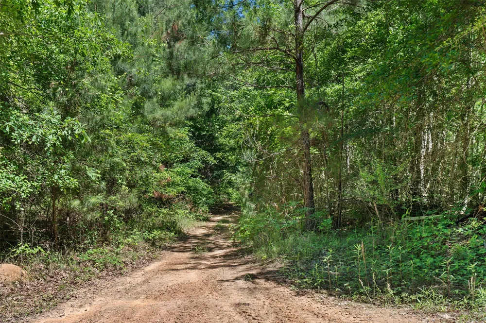 County Road 3361 De Berry, TX 75639