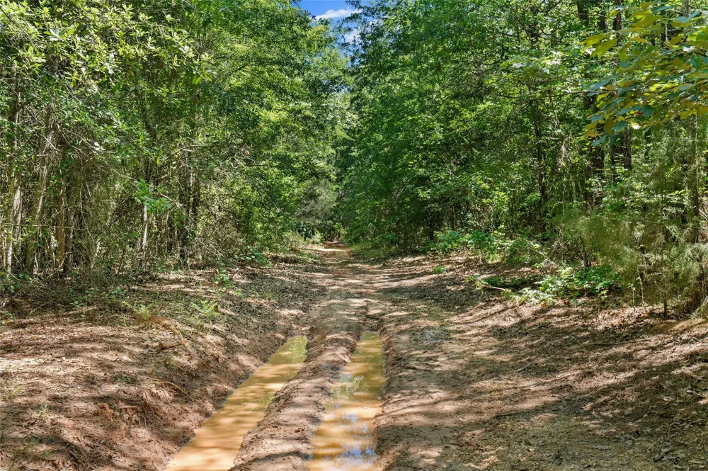 County Road 3361 De Berry, TX 75639