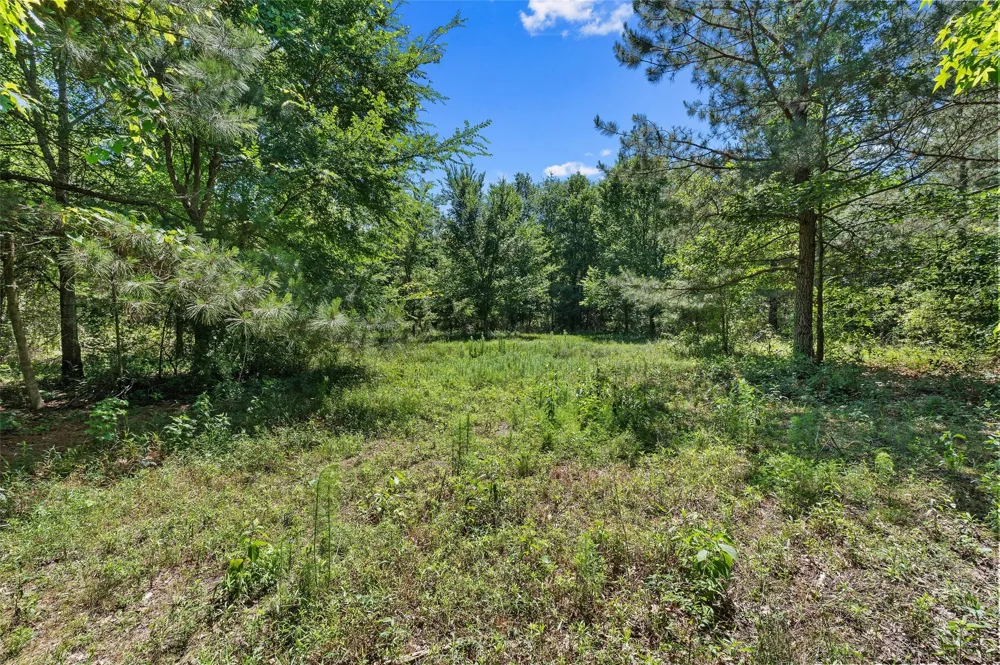 County Road 3361 De Berry, TX 75639