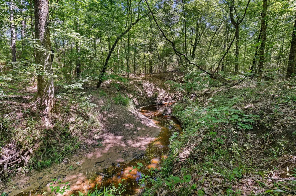 County Road 3361 De Berry, TX 75639