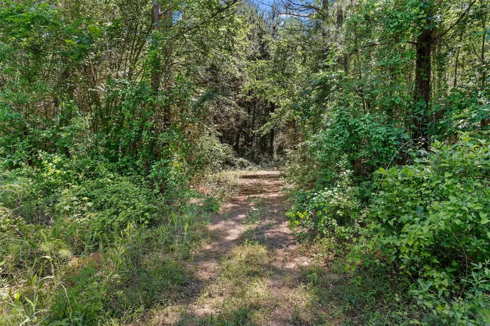 County Road 3361 De Berry, TX 75639