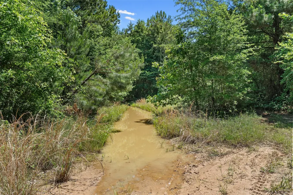 County Road 3361 De Berry, TX 75639