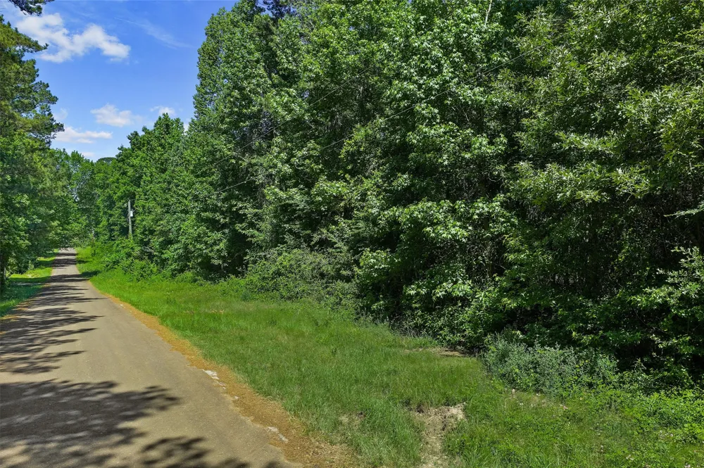County Road 3361 De Berry, TX 75639