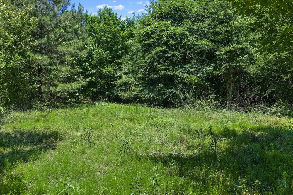 County Road 3361 De Berry, TX 75639