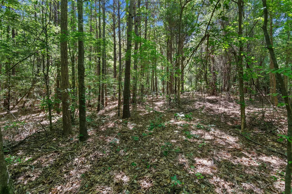 County Road 3361 De Berry, TX 75639
