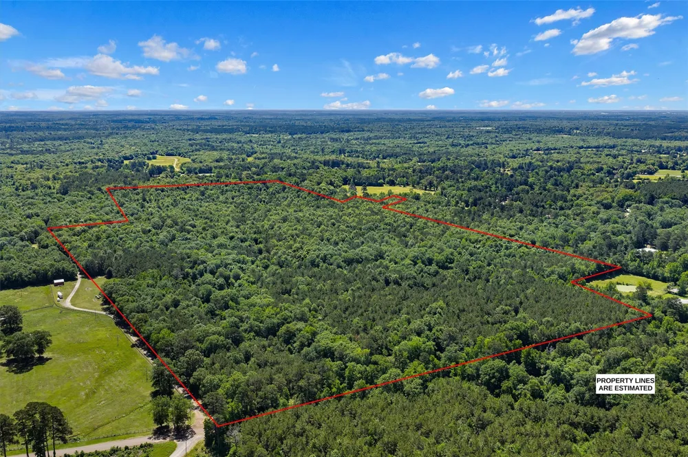 County Road 3361 De Berry, TX 75639