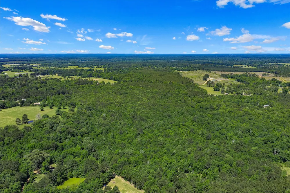 County Road 3361 De Berry, TX 75639