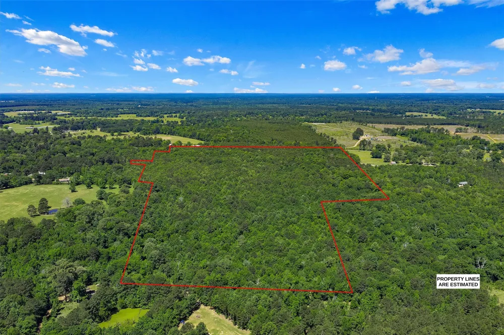 County Road 3361 De Berry, TX 75639