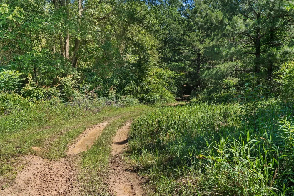 County Road 3361 De Berry, TX 75639