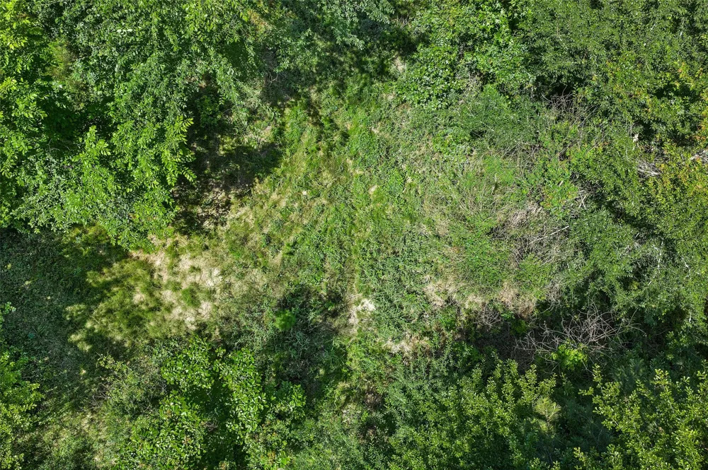 County Road 3361 De Berry, TX 75639