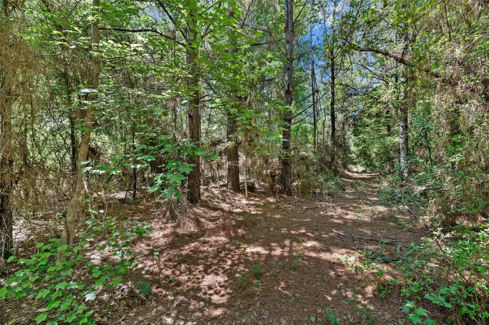 County Road 3361 De Berry, TX 75639