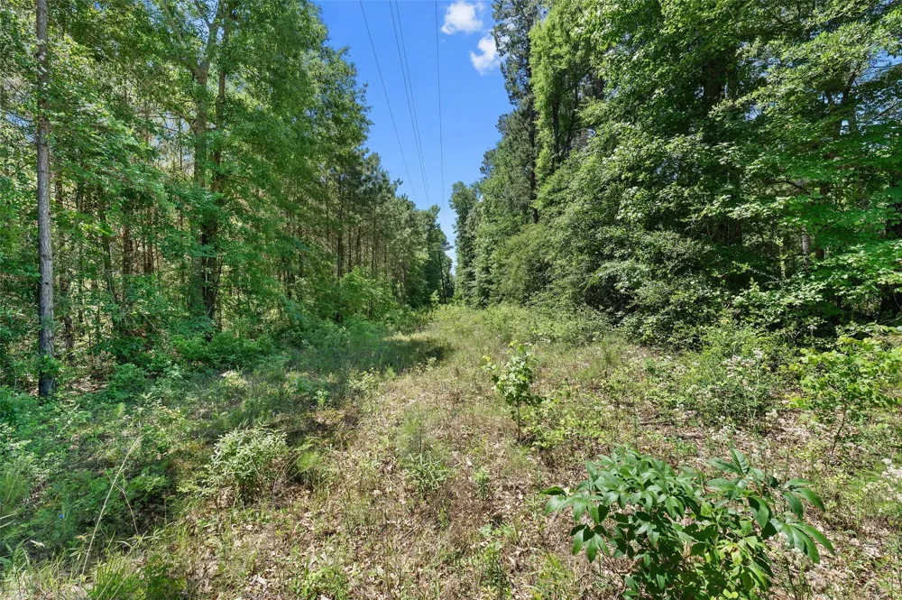 County Road 3361 De Berry, TX 75639