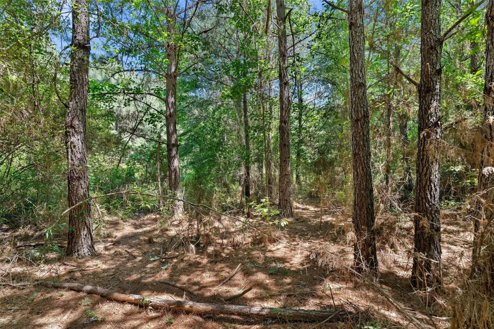 County Road 3361 De Berry, TX 75639