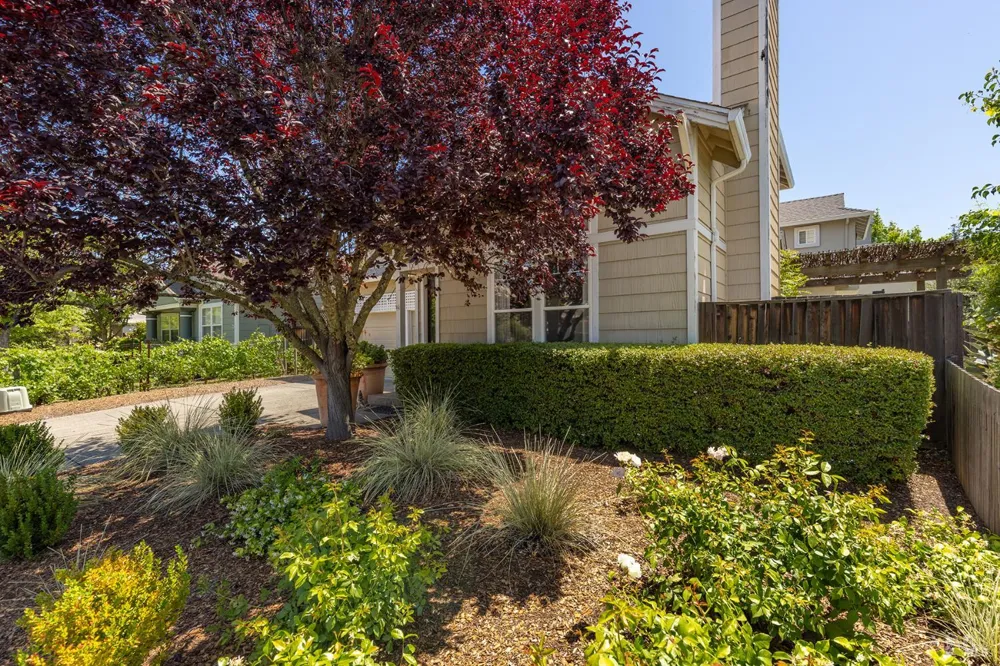 849 Signorelli Circle St. Helena, CA 94574