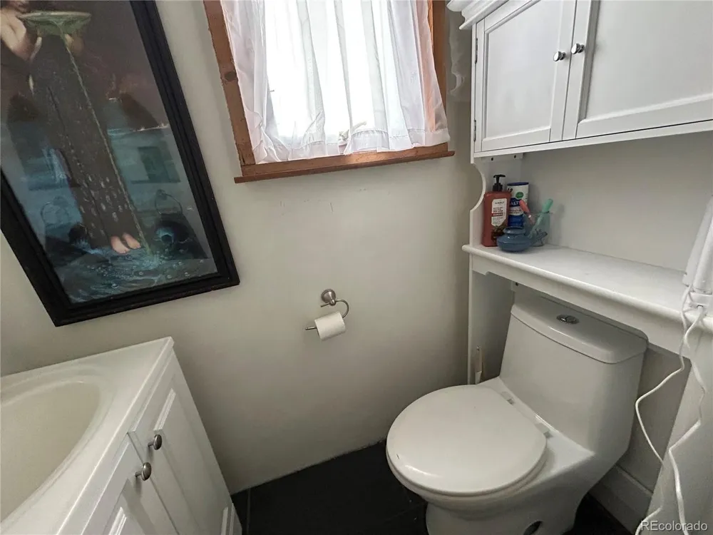 321 Palisade Court Crestone, CO 81131