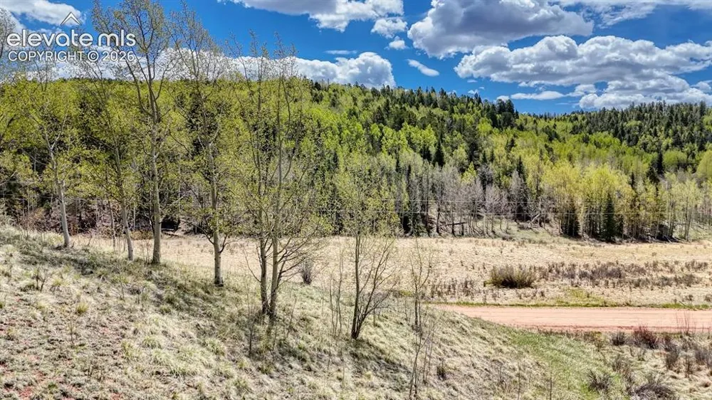 2031 Gold King Drive Cripple Creek, CO 80813