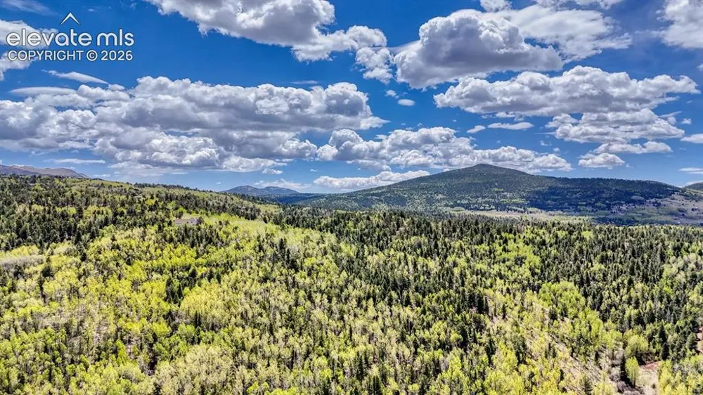 2031 Gold King Drive Cripple Creek, CO 80813