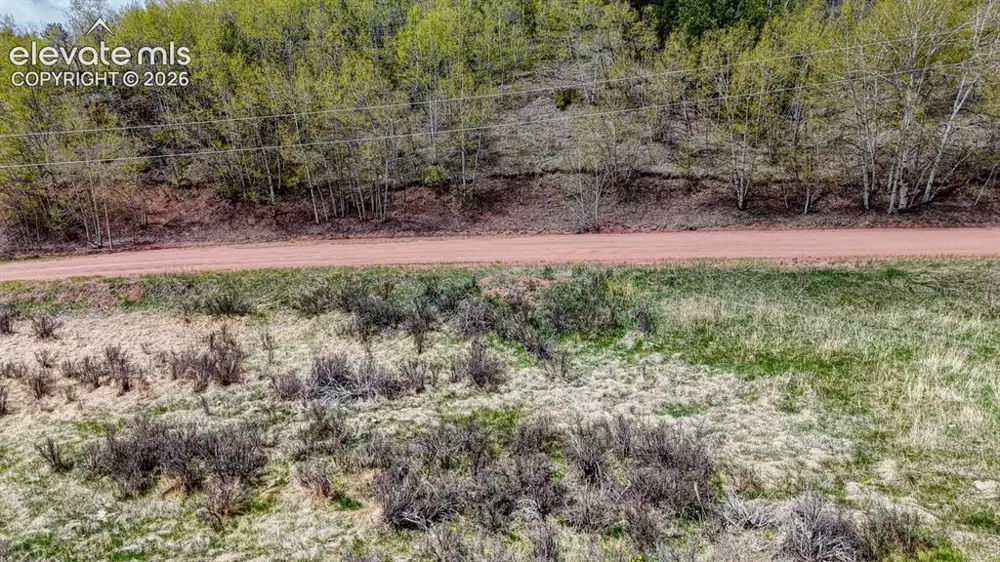 2031 Gold King Drive Cripple Creek, CO 80813