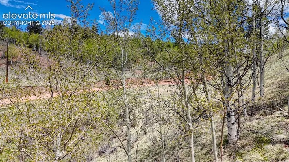 2031 Gold King Drive Cripple Creek, CO 80813