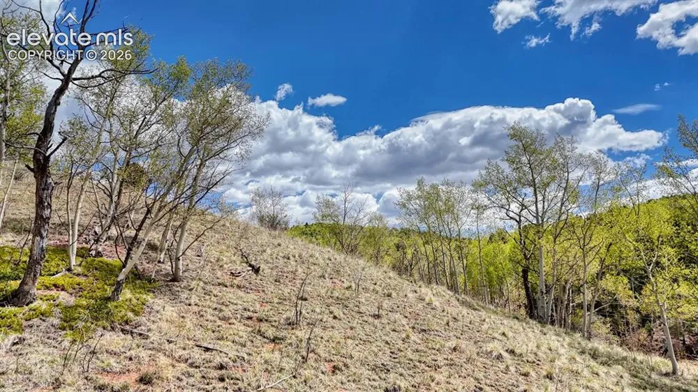 2031 Gold King Drive Cripple Creek, CO 80813