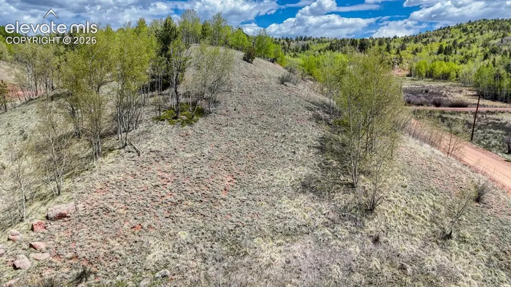 2031 Gold King Drive Cripple Creek, CO 80813