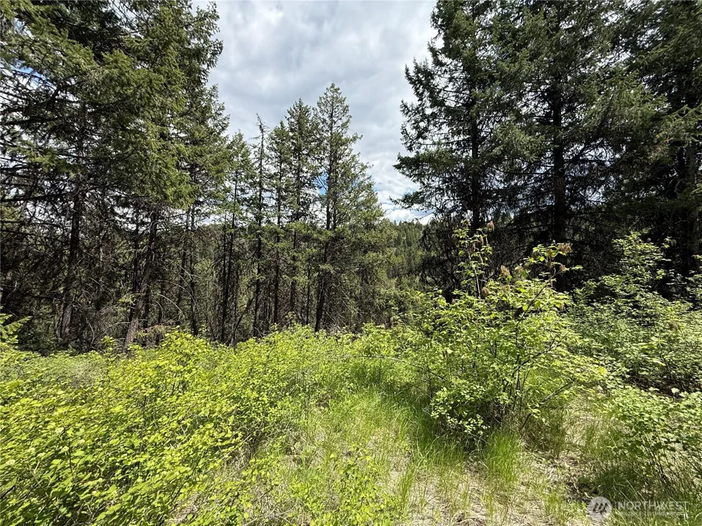 0 Lot 131 Slippery Hill Road Republic, WA 99166