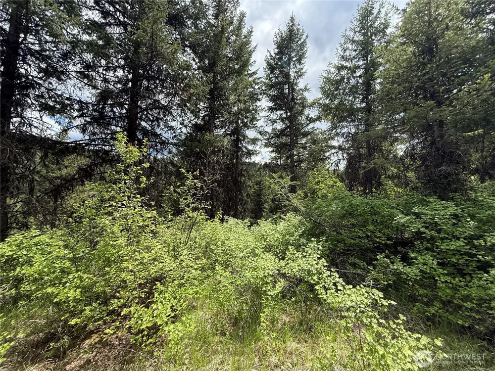 0 Lot 131 Slippery Hill Road Republic, WA 99166