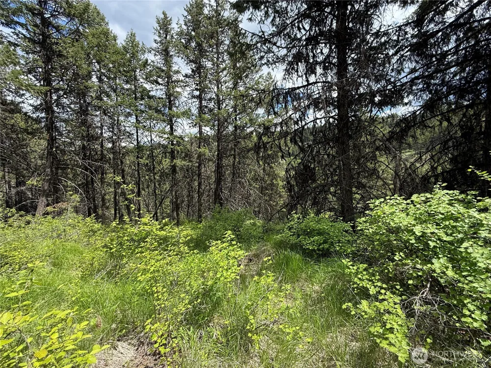0 Lot 131 Slippery Hill Road Republic, WA 99166
