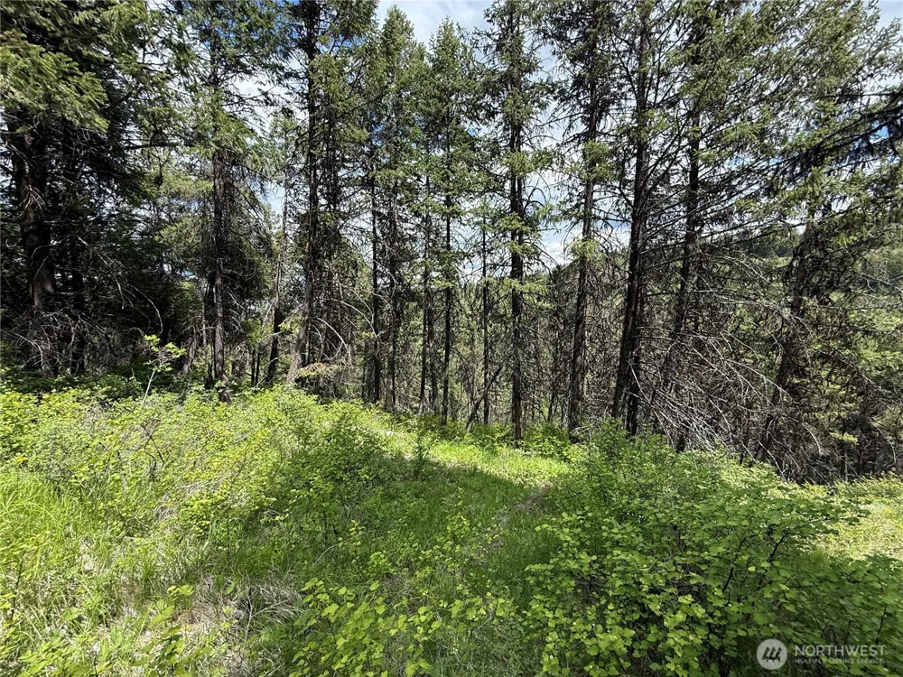 0 Lot 131 Slippery Hill Road Republic, WA 99166