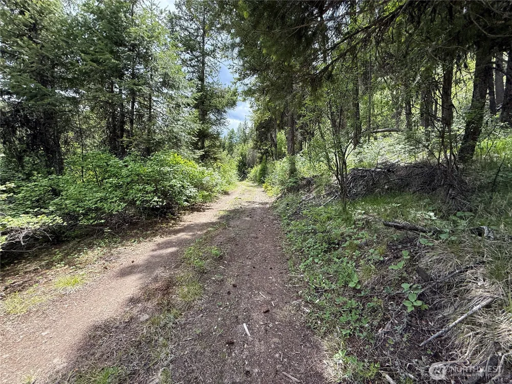 0 Lot 131 Slippery Hill Road Republic, WA 99166