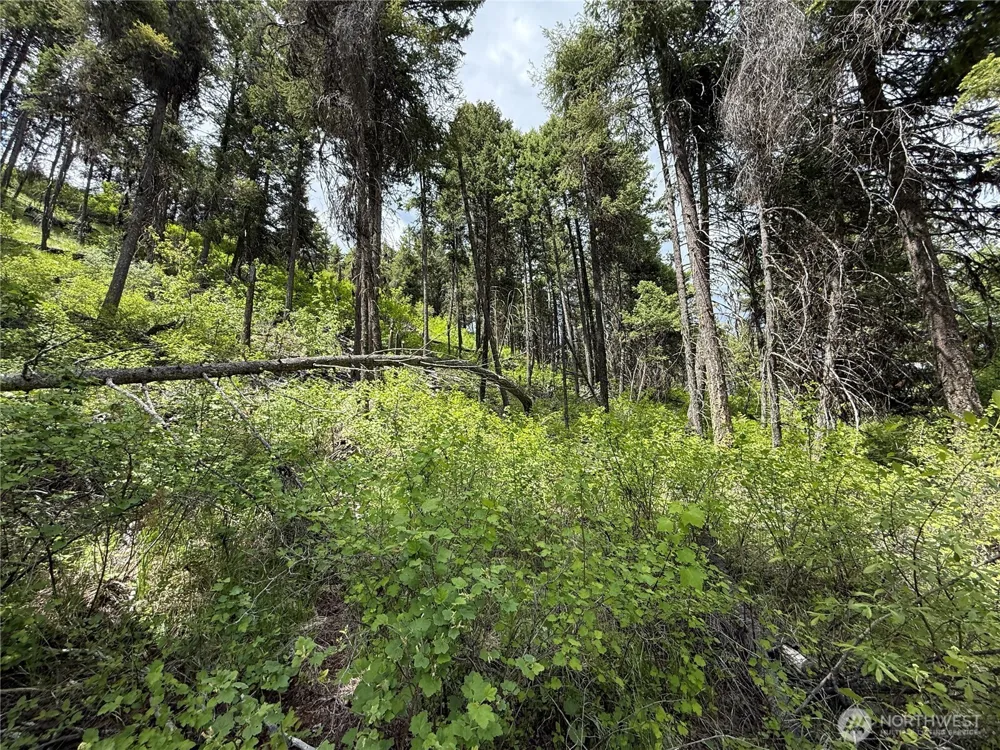 0 Lot 131 Slippery Hill Road Republic, WA 99166