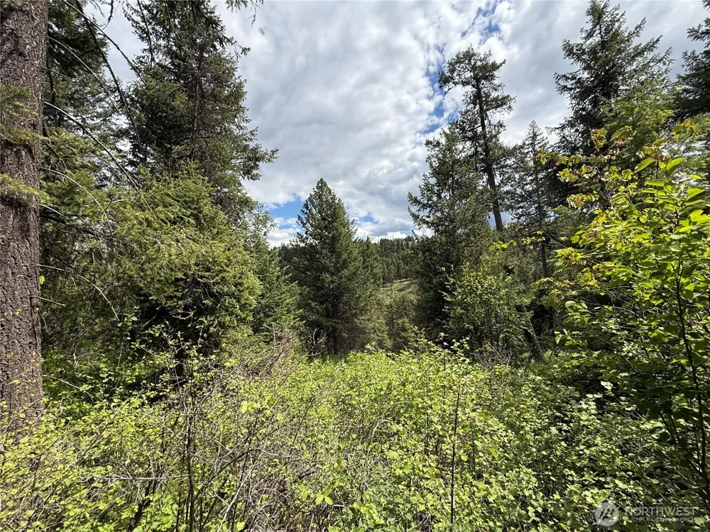 0 Lot 131 Slippery Hill Road Republic, WA 99166