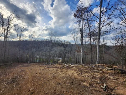 0 Harrison Pike W