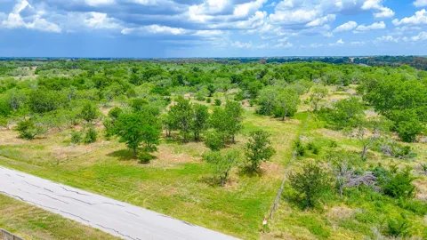 Palmito Ranch Road