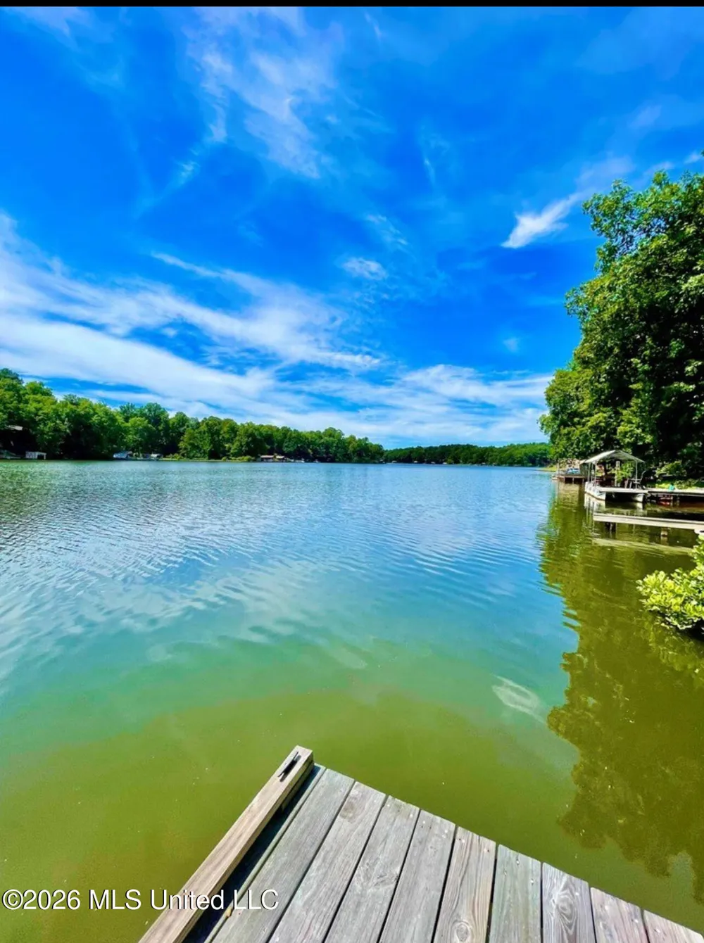 1771 Snow Lake Drive Ashland, MS 38603