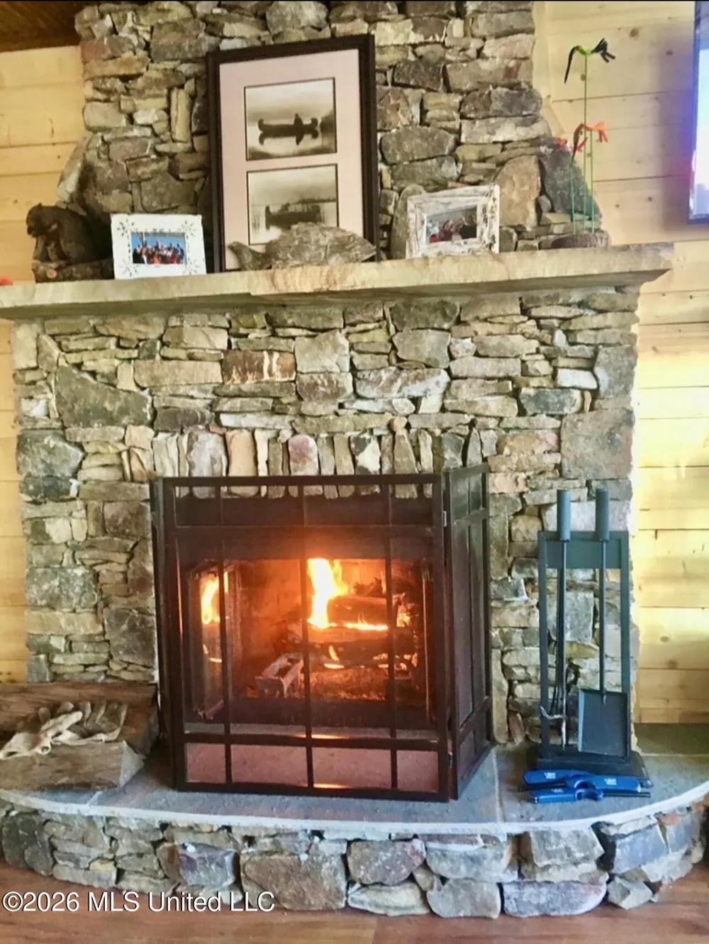 1771 Snow Lake Drive Ashland, MS 38603