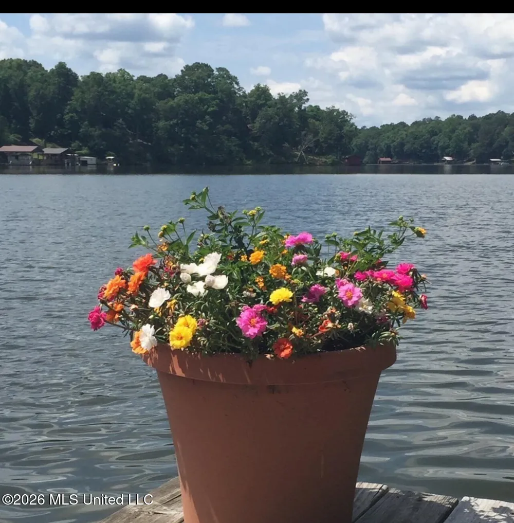 1771 Snow Lake Drive Ashland, MS 38603