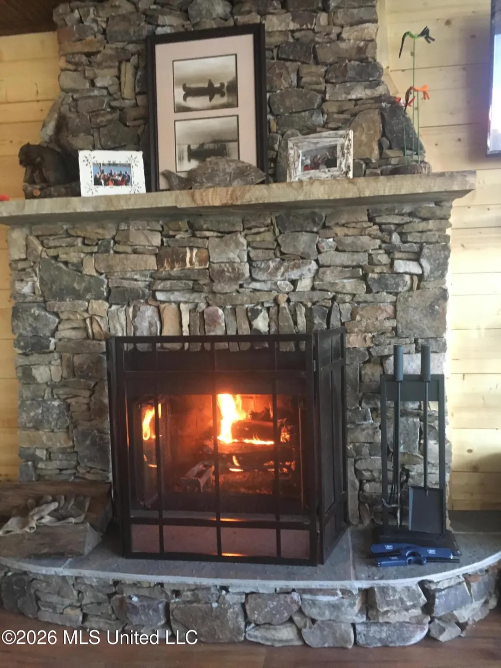 1771 Snow Lake Drive Ashland, MS 38603